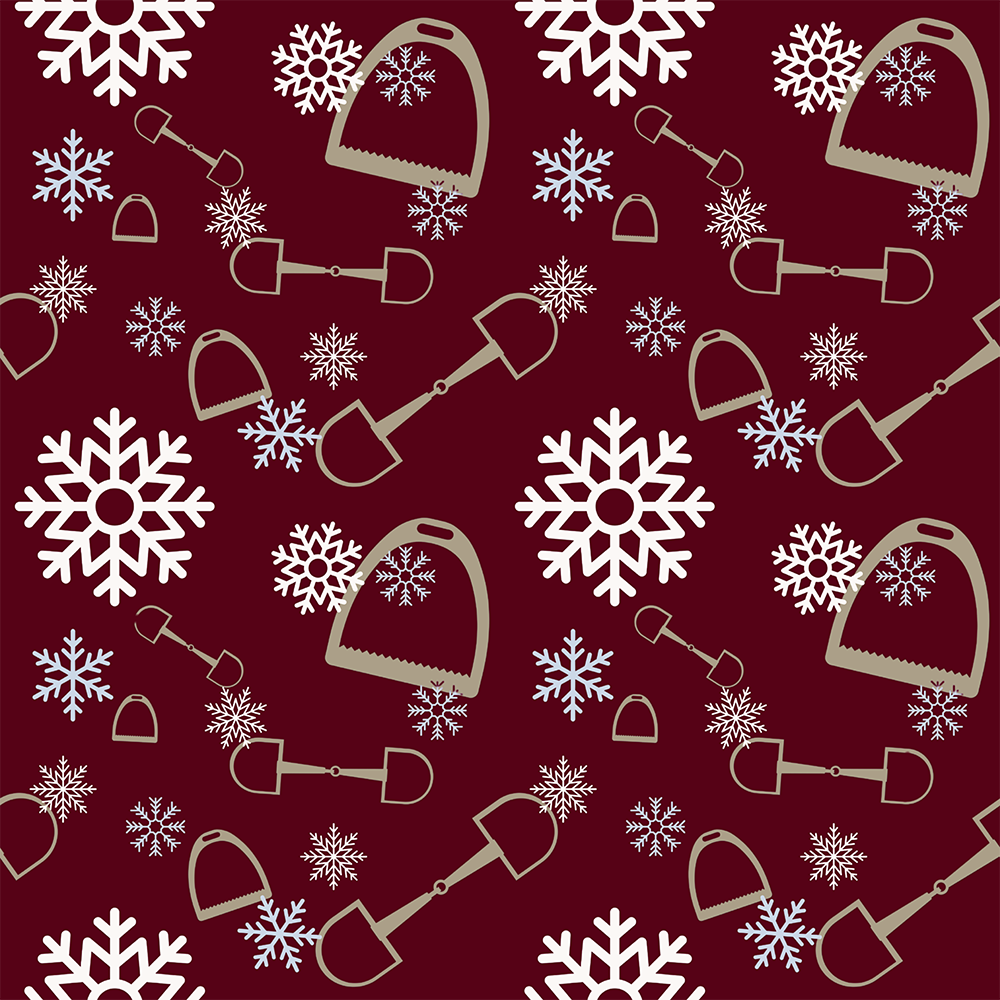 Snazzy Seasonal Ladies Socks