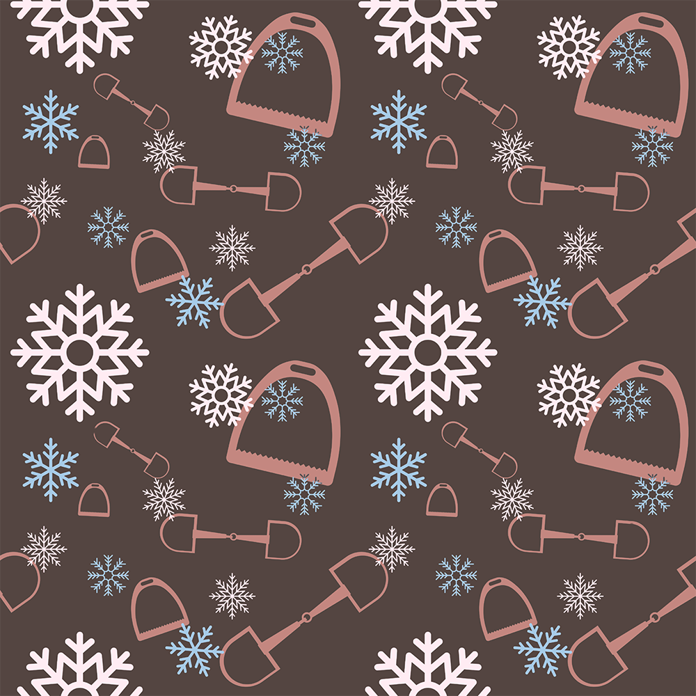 Snazzy Seasonal Ladies Socks