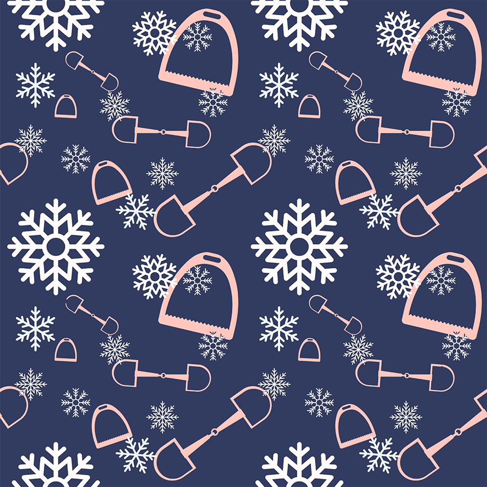 Snazzy Seasonal Ladies Socks