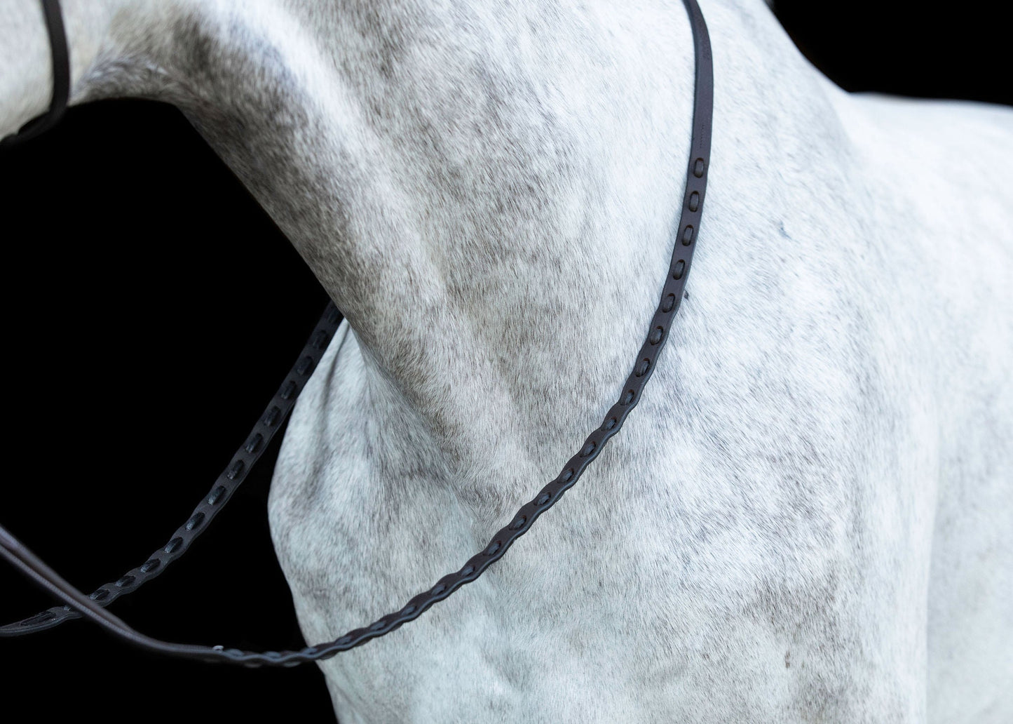 ProSeries Perfect Reins