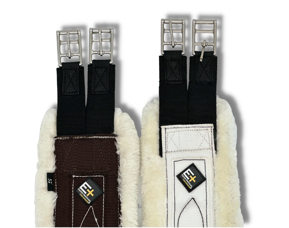 ProSeries Stabilizer Girth - White