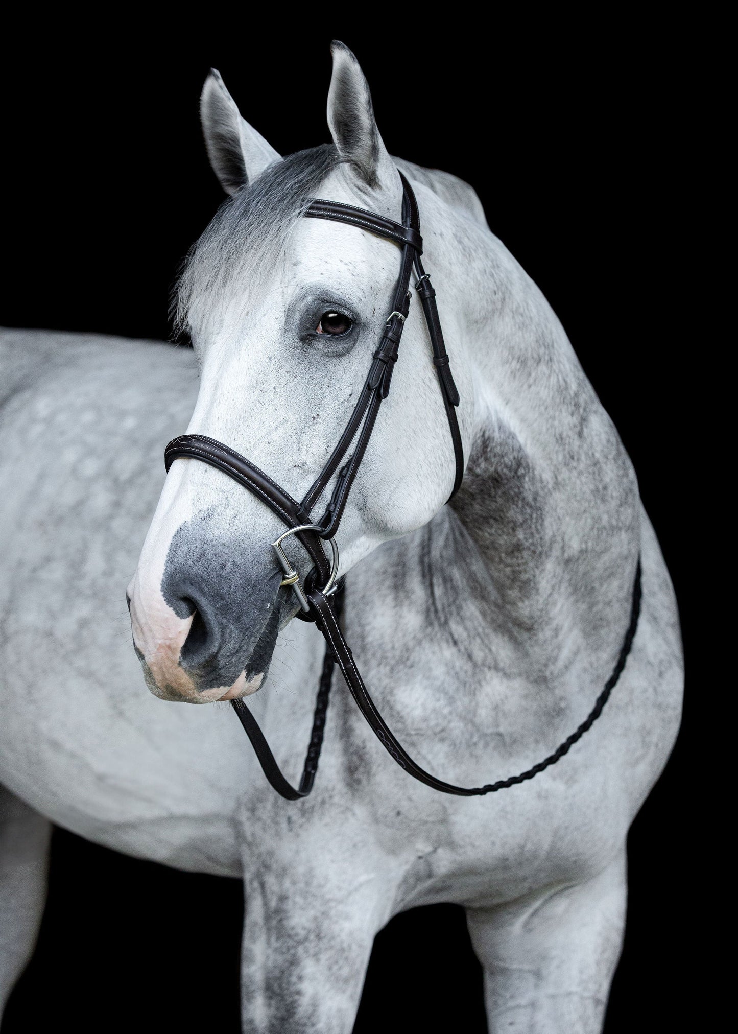 ProSeries Perfect Reins