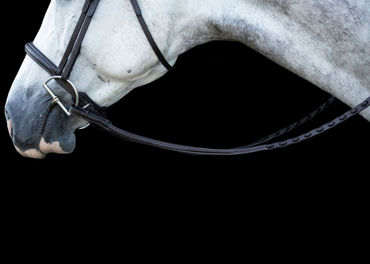ProSeries Perfect Reins